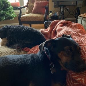 Meet your Posher, Lisa